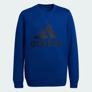 Adidas Essential Kids Sweatshirt