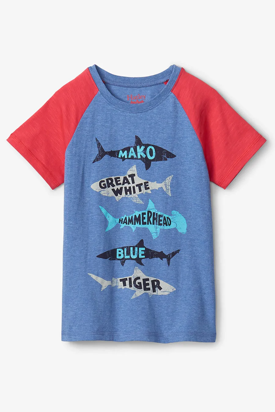 Boys Shirt Hatley Lots Of Sharks