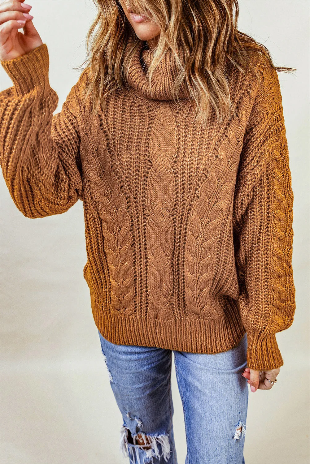 Chunky Turtleneck Sweater